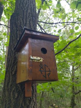 A varnished wooden birdhouse with a brass latch and a painted symbol, hanging on a tree in the forest