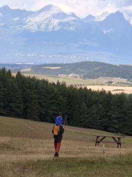 A meadow with the snowy Tatry mountains in the distance