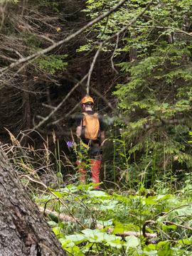 A hiker with an orange helmet and backpack in the forest